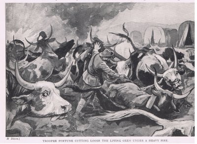 Le cavalier Fortune libérant les bœufs vivants sous un feu nourri - H. Dixon
